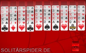247 Spider
