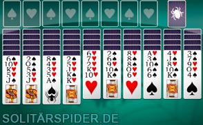 Doppelte Spider